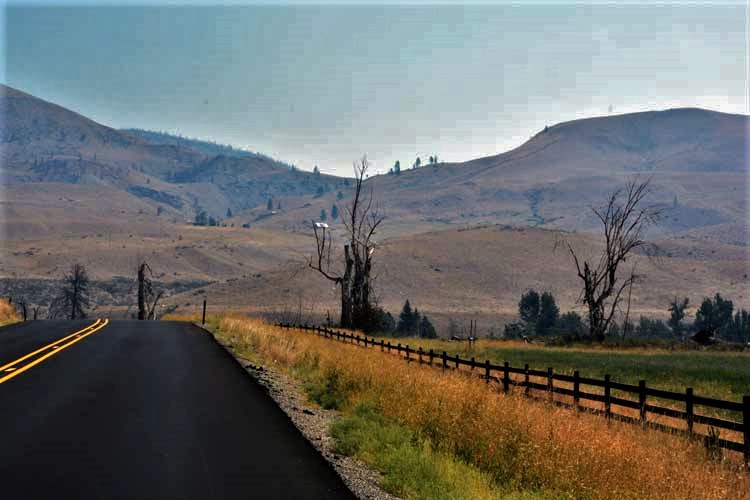 highway lined with color